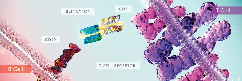 A graphic representation of the mechanism of action of Blincyto.